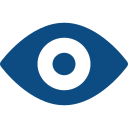 Vision